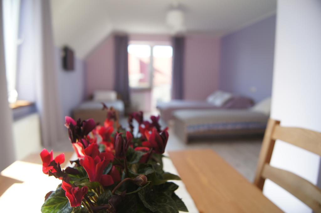 Villa Terra Pruszcz Gdański Extérieur photo