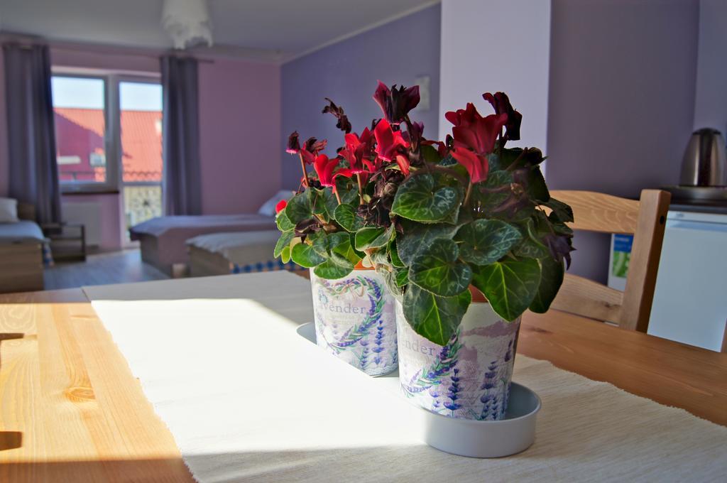 Villa Terra Pruszcz Gdański Extérieur photo
